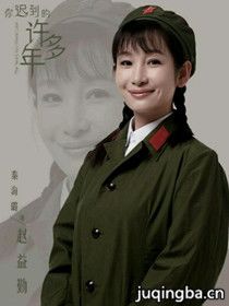 你迟到的许多年