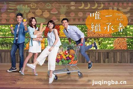 唯一继承者剧照