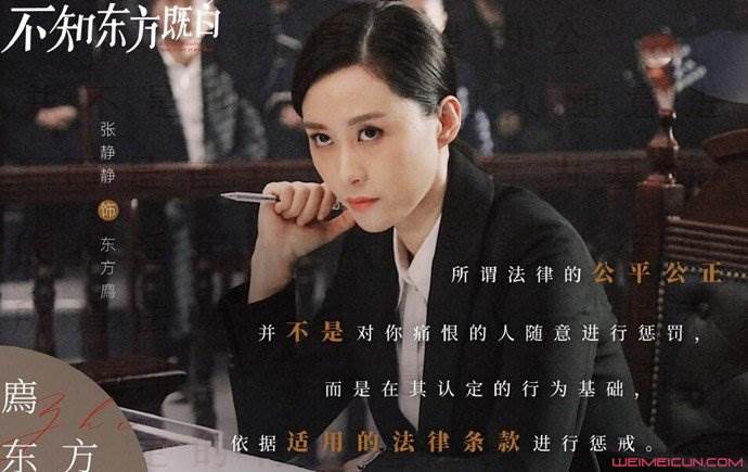 不知东方既白东方廌结局